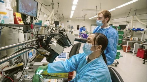 亚马逊云科技AI与机器学习技术助力科学家绘制完整脑部地图 摄像与制作服务的创新应用